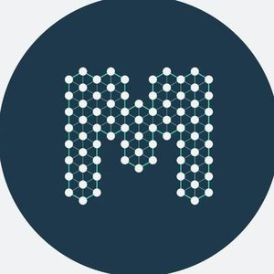 BlockMesh icon