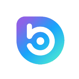 BORA icon