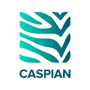 Caspian icon