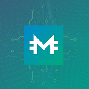 Moneytoken icon