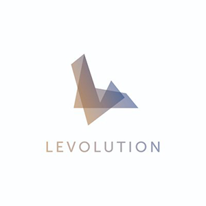 Levolution icon