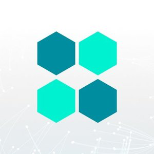 OneLedger icon