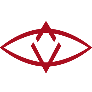 SingularDTV icon